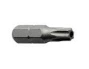 Resistorx Antidiefstal Bit